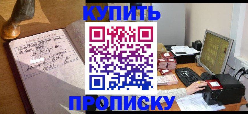 прописка 2025 в Зеленогорске